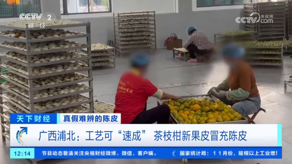 假陳皮黑幕曝光!平價柑皮加工製作一月即可賣貴20倍?直播主直認8成貨源來自廣西