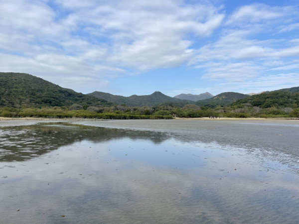 大嶼山泥灘(圖片來源︰鄉郊保育辦公室)