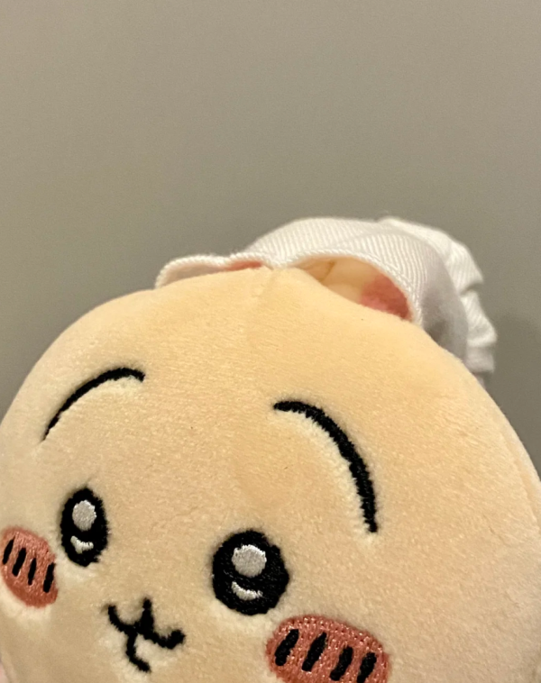 照片來源：小紅書@一二一