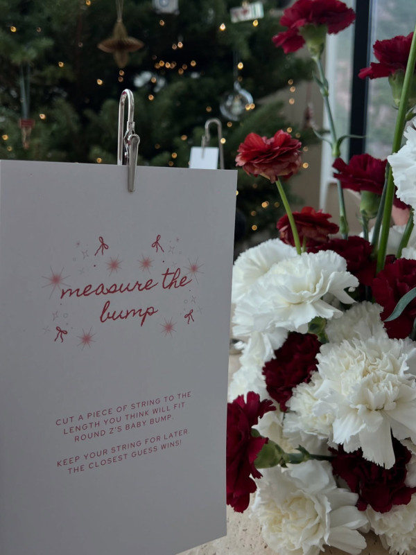 鄭丹瑞大女挺巨肚開產前派對星光熠熠 極致豪宅意外曝光！落地大玻璃巨廳容納17人