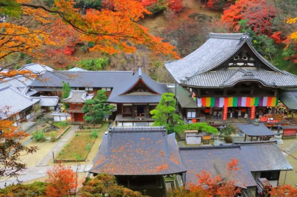 京都奈良古剎(圖片來源︰Klook)