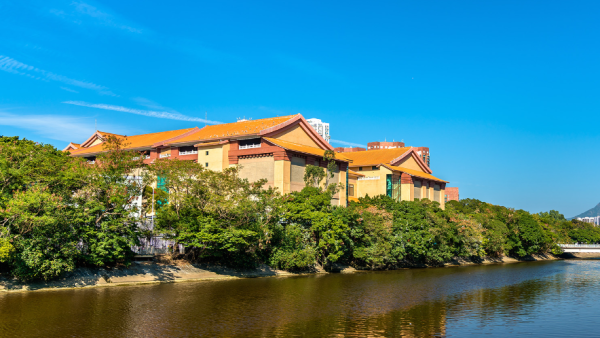 大圍村(圖片來源︰圍方)