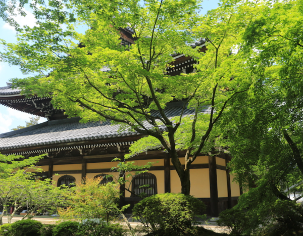 京都唐式禪寺(圖片來源︰そうだ 京都、行こう。)