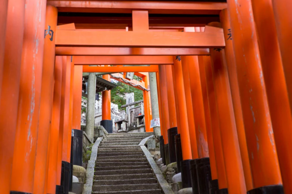 京都伏見稲荷大社(圖片來源︰Klook)