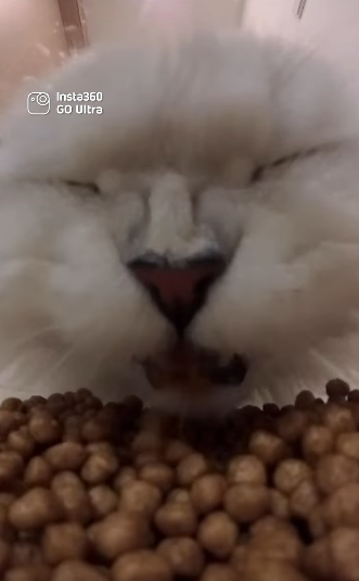 【驚喜送禮活動】手掌咁大隨身相機！Insta360隨身相機3大創意玩法 全新夜拍/超長續航功能