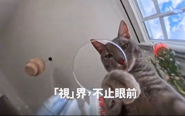 【驚喜送禮活動】手掌咁大隨身相機！Insta360隨身相機3大創意玩法 全新夜拍/超長續航功能 