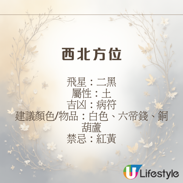 陳定幫馬年運程|2026九宮飛星風水佈局全攻略!呢個位切勿動土 避開最凶陷阱 教一招化解保平安!