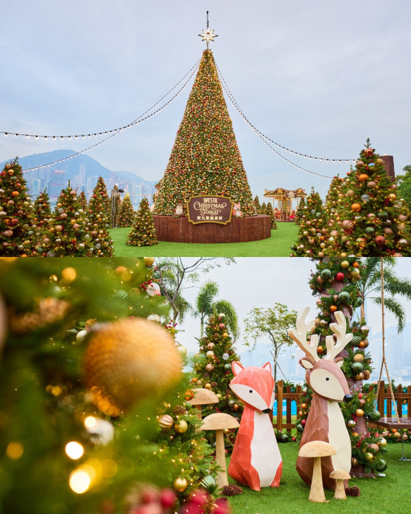 聖誕樹打卡2025｜全港10+特色聖誕樹懶人包！中環20米高巨型聖誕樹、迪士尼夢幻飄雪聖誕樹（持續更新）