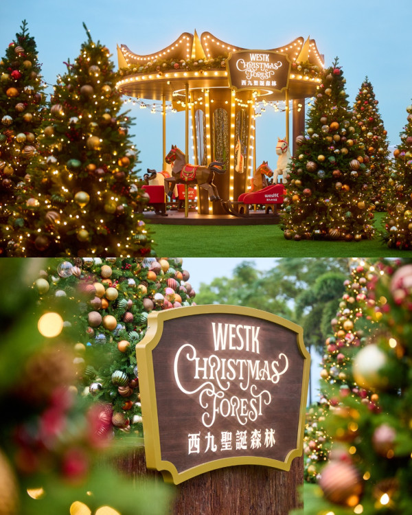 聖誕樹打卡2025｜全港10+特色聖誕樹懶人包！中環20米高巨型聖誕樹、迪士尼夢幻飄雪聖誕樹（持續更新）