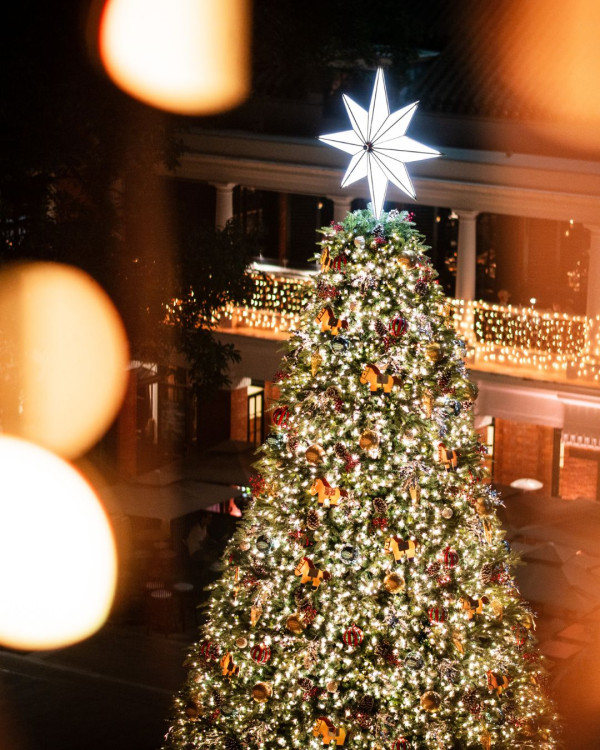 聖誕樹打卡2025｜全港10+特色聖誕樹懶人包！中環20米高巨型聖誕樹、迪士尼夢幻飄雪聖誕樹（持續更新）