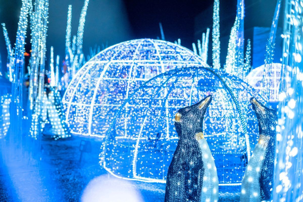 聖誕樹打卡2025｜全港10+特色聖誕樹懶人包！中環20米高巨型聖誕樹、迪士尼夢幻飄雪聖誕樹（持續更新）