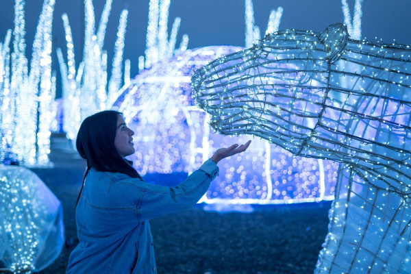 聖誕樹打卡2025｜全港10+特色聖誕樹懶人包！中環20米高巨型聖誕樹、迪士尼夢幻飄雪聖誕樹（持續更新）