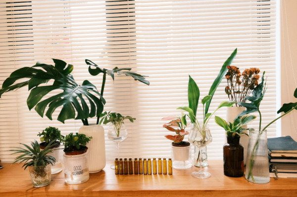 新買碗碟/傢俬「標籤貼紙」撕極都有印？千萬別用指甲刮！用護手霜/風筒一招完美無痕  