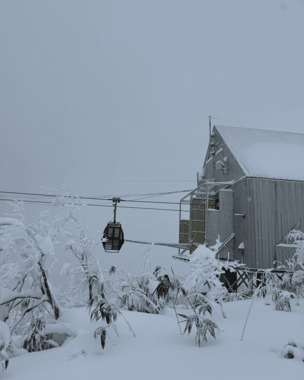 【日本滑雪2026】日本5大新手滑雪場推介 打卡藏王樹冰/高質粉雪/鄰近市區