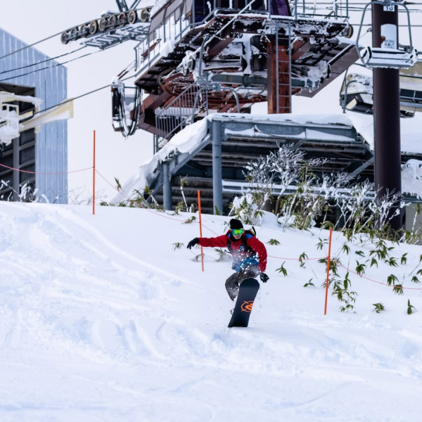 【日本滑雪2026】日本5大新手滑雪場推介 打卡藏王樹冰/高質粉雪/鄰近市區