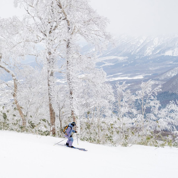 【日本滑雪2026】日本5大新手滑雪場推介 打卡藏王樹冰/高質粉雪/鄰近市區