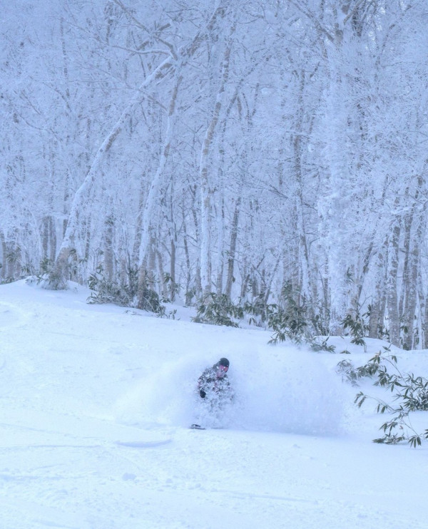 【日本滑雪2026】日本5大新手滑雪場推介 打卡藏王樹冰/高質粉雪/鄰近市區