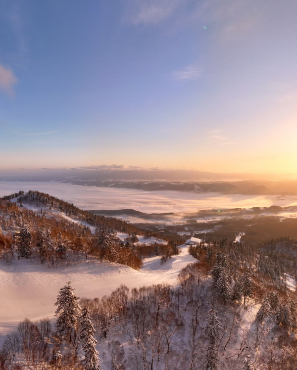 【日本滑雪2026】日本5大新手滑雪場推介 打卡藏王樹冰/高質粉雪/鄰近市區