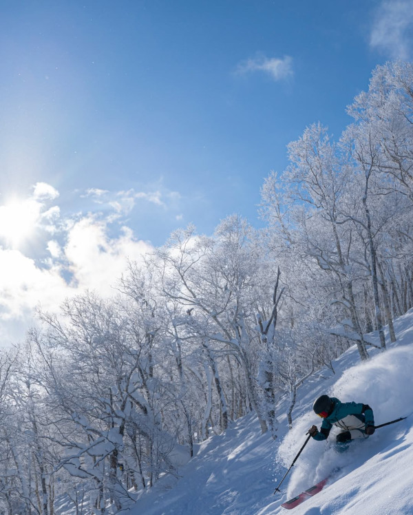 【日本滑雪2026】日本5大新手滑雪場推介 打卡藏王樹冰/高質粉雪/鄰近市區