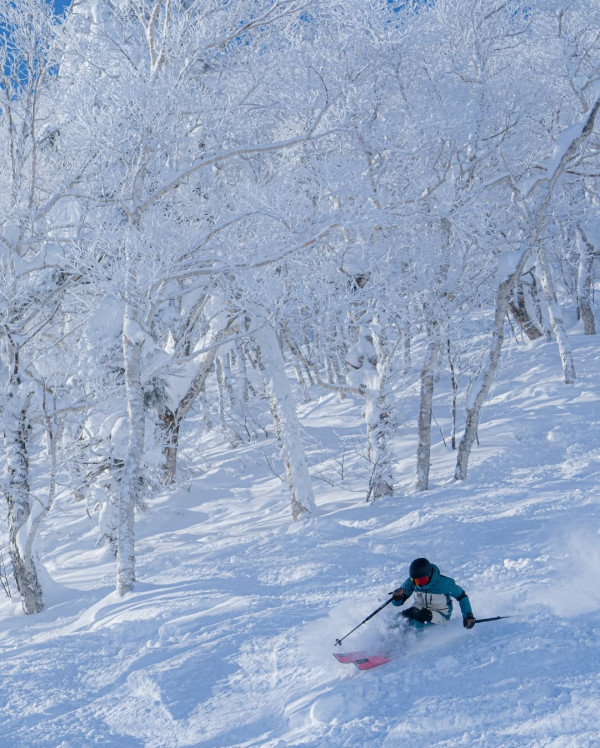【日本滑雪2026】日本5大新手滑雪場推介 打卡藏王樹冰/高質粉雪/鄰近市區