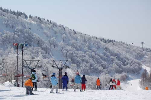 【日本滑雪2026】日本5大新手滑雪場推介 打卡藏王樹冰/高質粉雪/鄰近市區