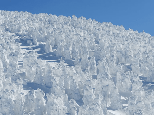 【日本滑雪2026】日本5大新手滑雪場推介 打卡藏王樹冰/高質粉雪/鄰近市區
