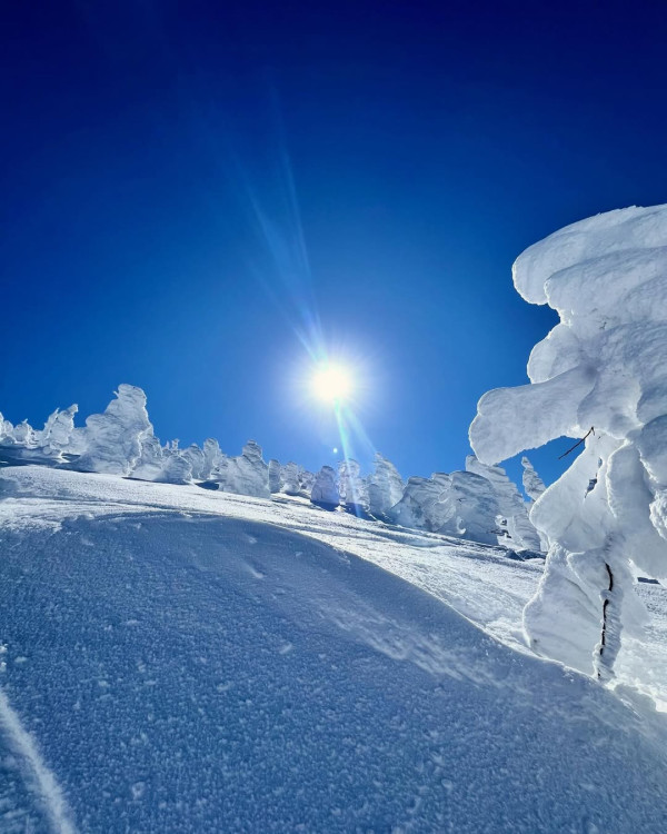 【日本滑雪2026】日本5大新手滑雪場推介 打卡藏王樹冰/高質粉雪/鄰近市區