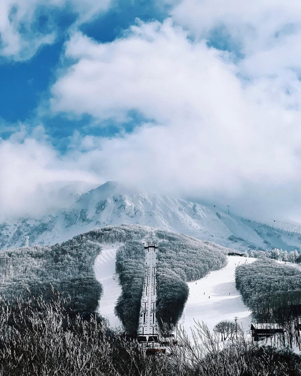 【日本滑雪2026】日本5大新手滑雪場推介 打卡藏王樹冰/高質粉雪/鄰近市區