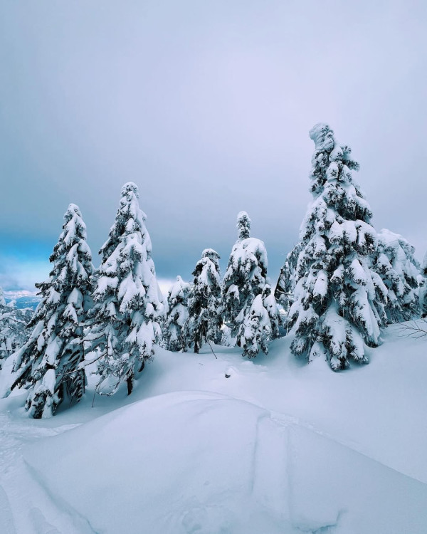 【日本滑雪2026】日本5大新手滑雪場推介 打卡藏王樹冰/高質粉雪/鄰近市區