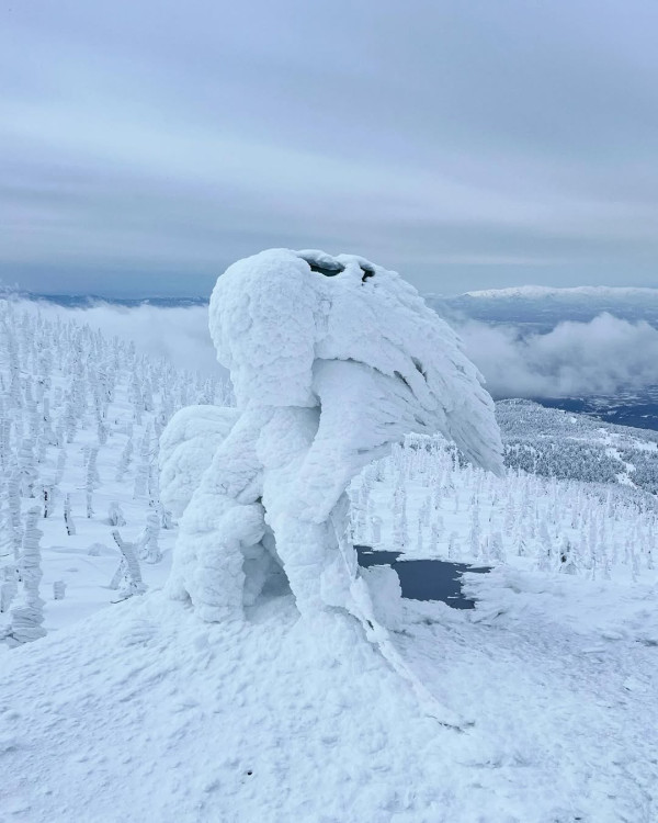 【日本滑雪2026】日本5大新手滑雪場推介 打卡藏王樹冰/高質粉雪/鄰近市區