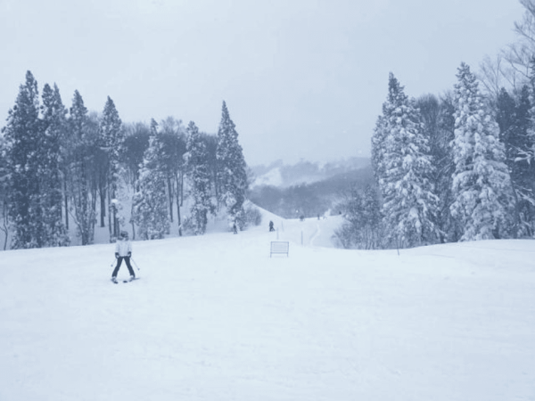 【日本滑雪2026】日本5大新手滑雪場推介 打卡藏王樹冰/高質粉雪/鄰近市區