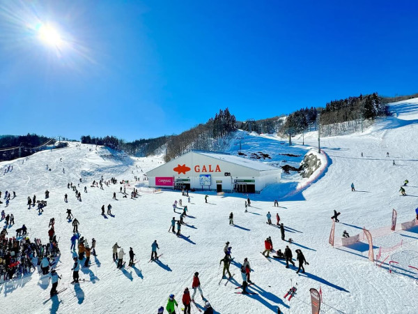 【日本滑雪2026】日本5大新手滑雪場推介 打卡藏王樹冰/高質粉雪/鄰近市區