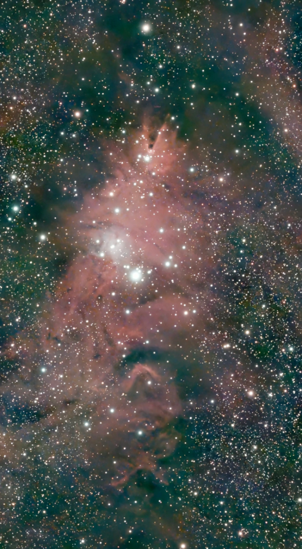 照片來源：小紅書@Ctsu