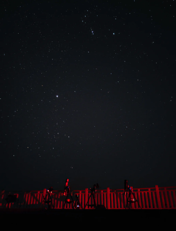 照片來源：小紅書@闪闪菌