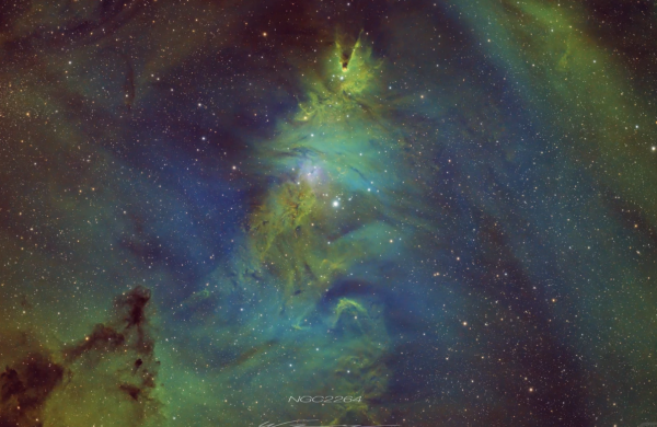 照片來源：小紅書@万一