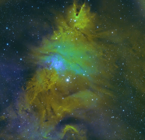 照片來源：小紅書@万一