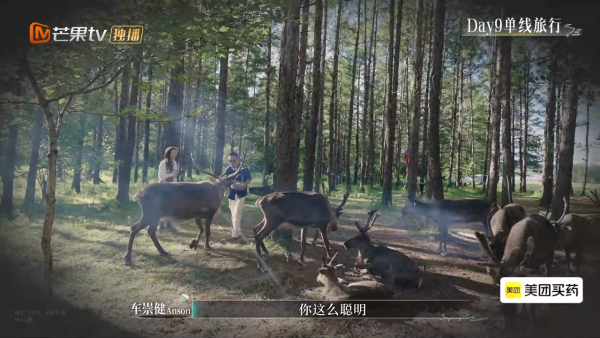 李施嬅與車崇健戲劇性疑復合有望？因一事自爆極度心動 網民急勸：你醒下啦