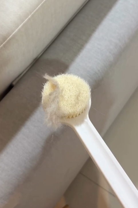 MUJI 3大「除貓毛隱藏神器」$42起！實測沐浴刷/鞋刷　勁過Dyson、除塵轆