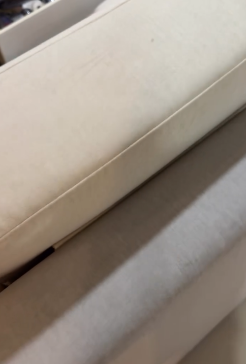 MUJI 3大「除貓毛隱藏神器」$42起！實測沐浴刷/鞋刷　勁過Dyson、除塵轆