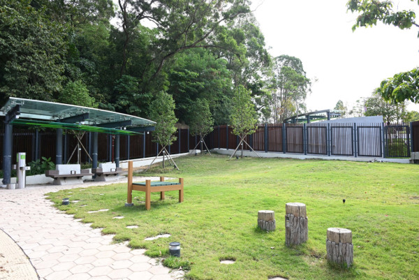 親子好去處2025｜葵涌公園3公頃巨型綠洲剛開放！等足26年變身海景綠洲　全港12大免費新場推介