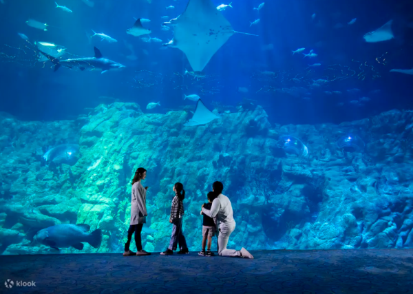 海洋公園門票買一送一優惠！人均$269起全日任玩！必玩Sanrio互動遊戲+打卡位+見面會