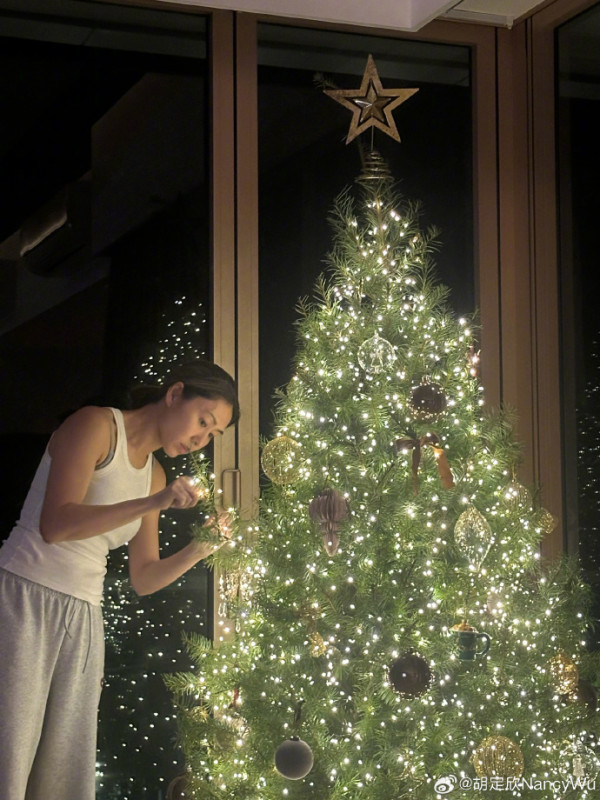 胡定欣新婚愛巢豪宅首度曝光！巨型大廳放頂天聖誕樹 樓底超高要爬梯裝飾