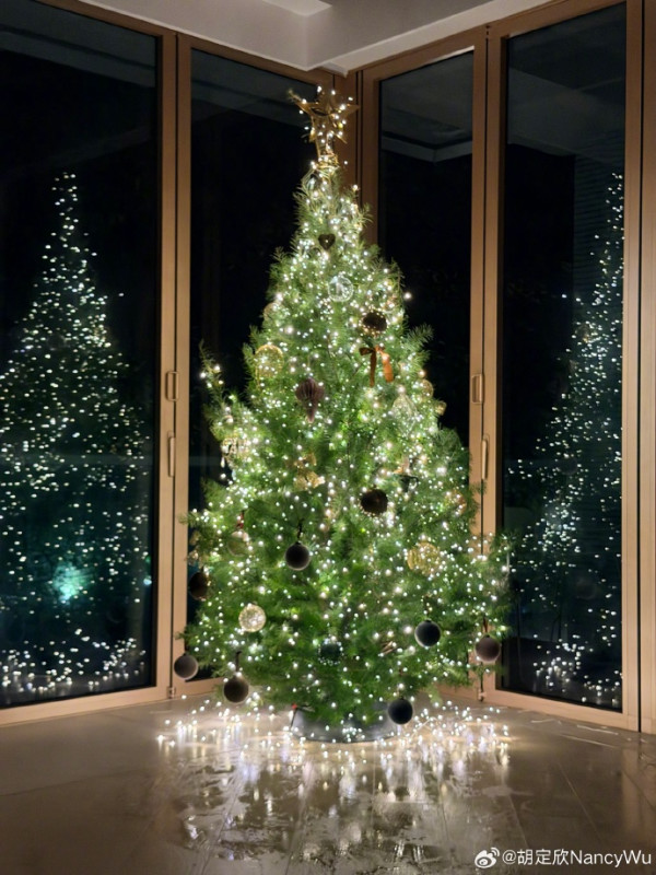 胡定欣新婚愛巢豪宅首度曝光！巨型大廳放頂天聖誕樹 樓底超高要爬梯裝飾