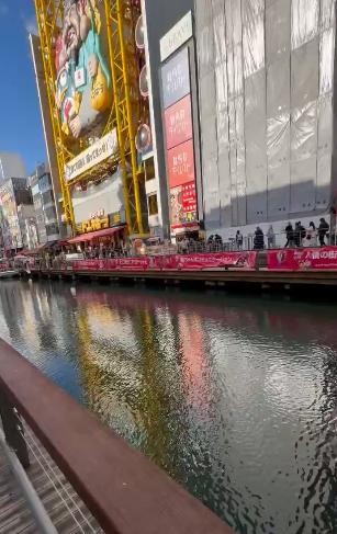 有片！大阪心齋橋大量魚詭異湧入塞河面 網民憂大地震先兆 專家分析原因 