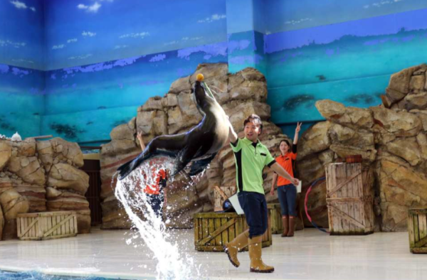 照片來源:KKDay 照片來源:KKDay