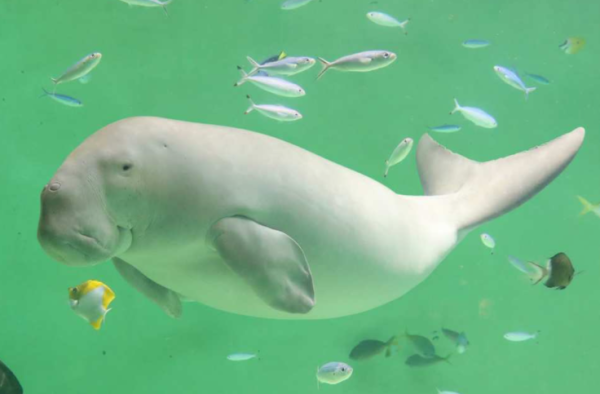 照片來源:KKDay 照片來源:KKDay