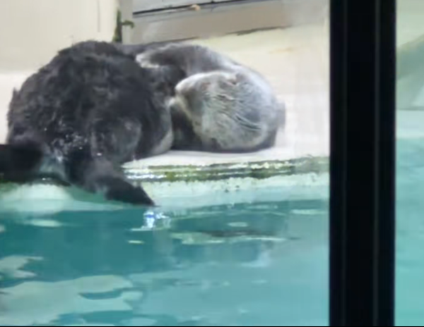 照片來源:小紅書@momo 照片來源:小紅書@momo