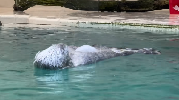 照片來源:小紅書@momo 照片來源:小紅書@momo