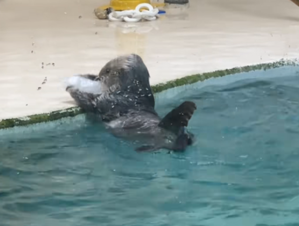 照片來源:小紅書@momo 照片來源:小紅書@momo