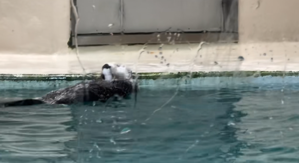 照片來源:小紅書@momo 照片來源:小紅書@momo